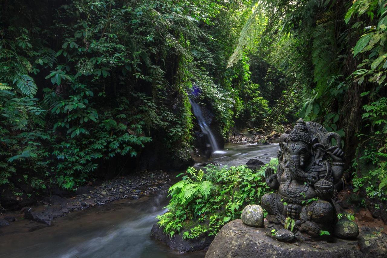 Bali Jungle Resort Тегаллаланг Экстерьер фото