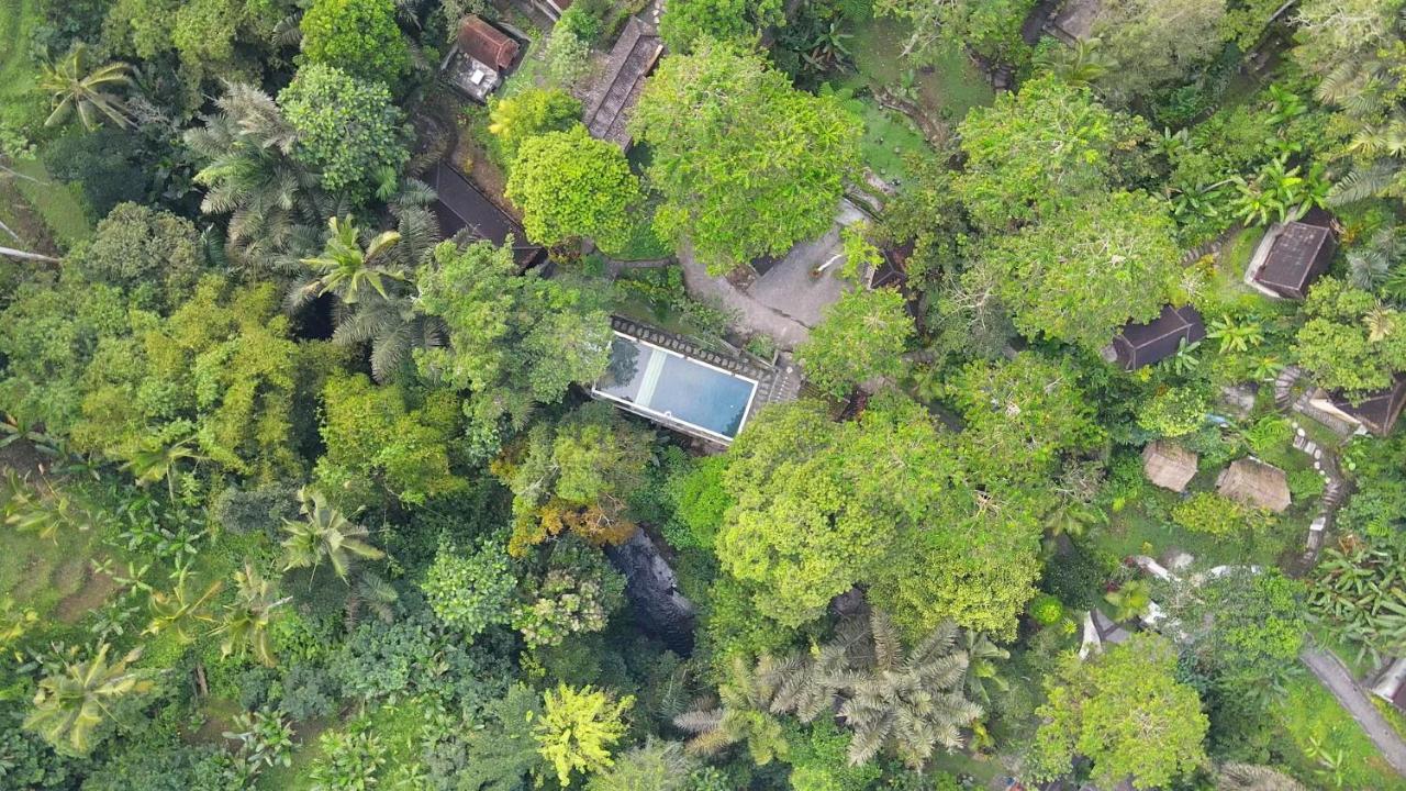Bali Jungle Resort Тегаллаланг Экстерьер фото