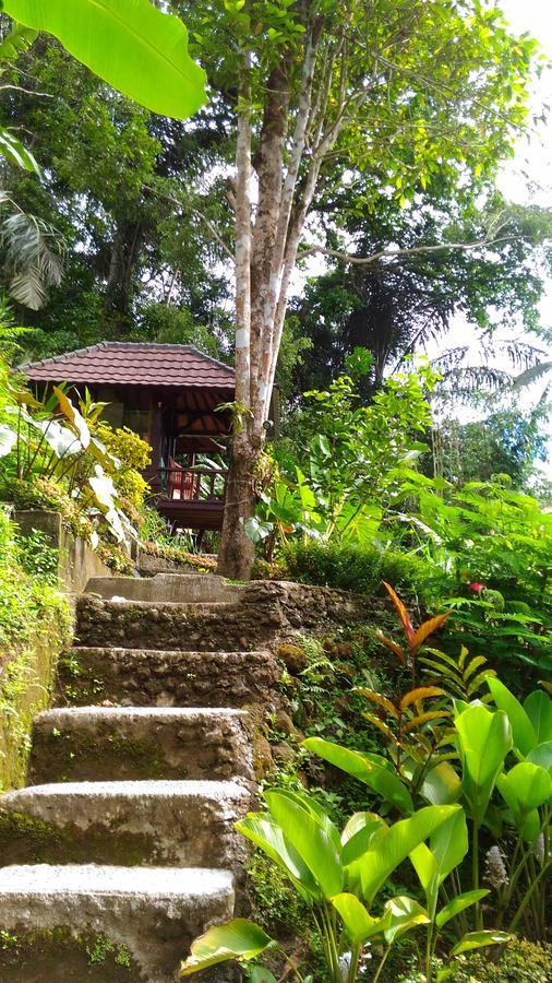 Bali Jungle Resort Тегаллаланг Экстерьер фото